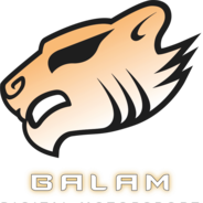 Balam Digital Motorsport
